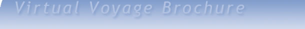 Virtual Voyage Title