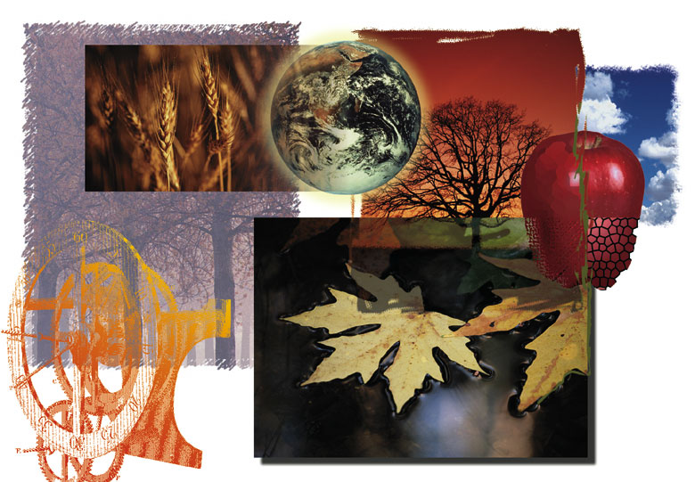 Autumn Montage