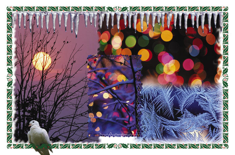 Holiday Greeting Montage