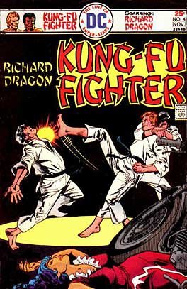 Richard Dragon Kung Fu Fighter