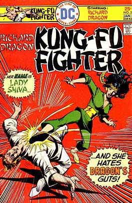 Richard Dragon Kung Fu Fighter