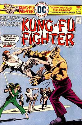 Richard Dragon Kung Fu Fighter